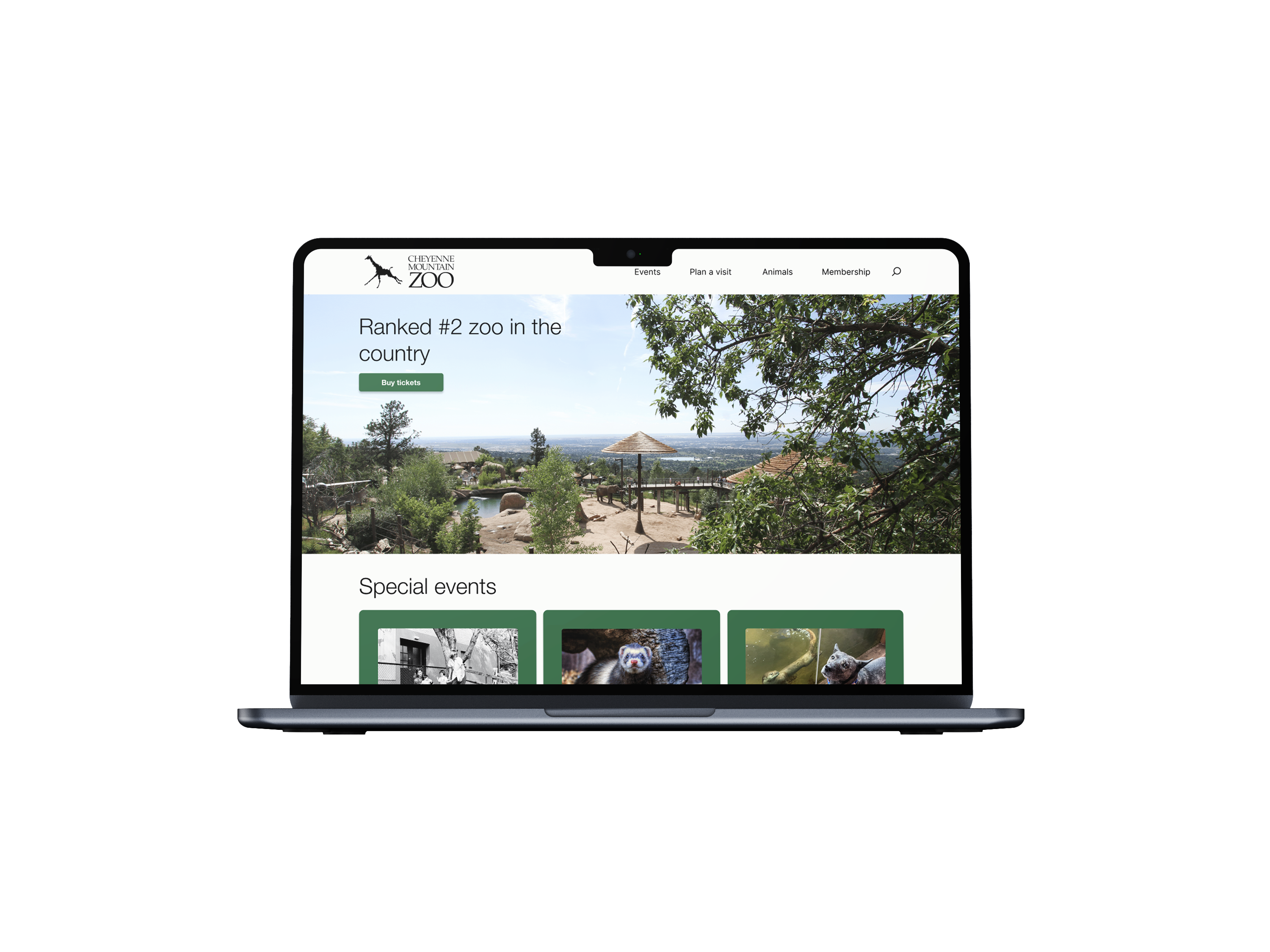 Cheyenne Mountain Zoo Redesign