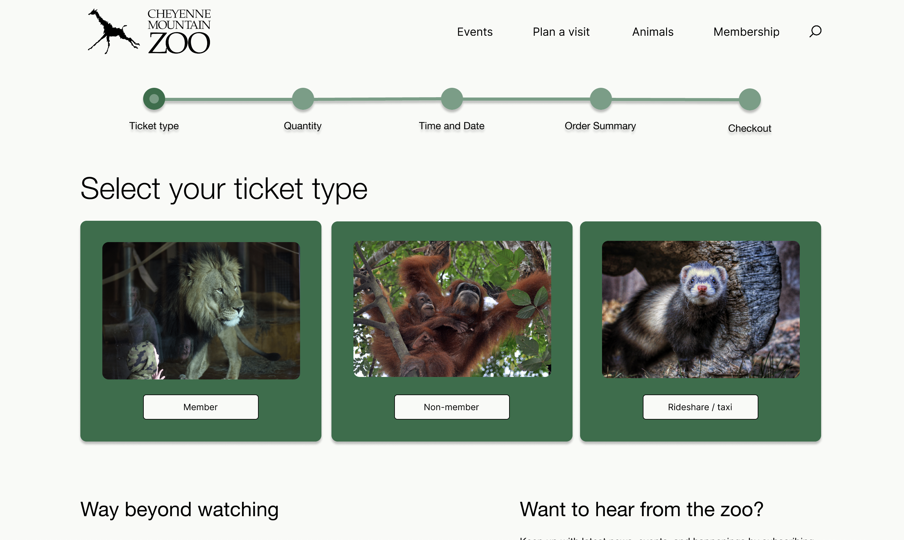 High fidelity v2 — Ticket Type