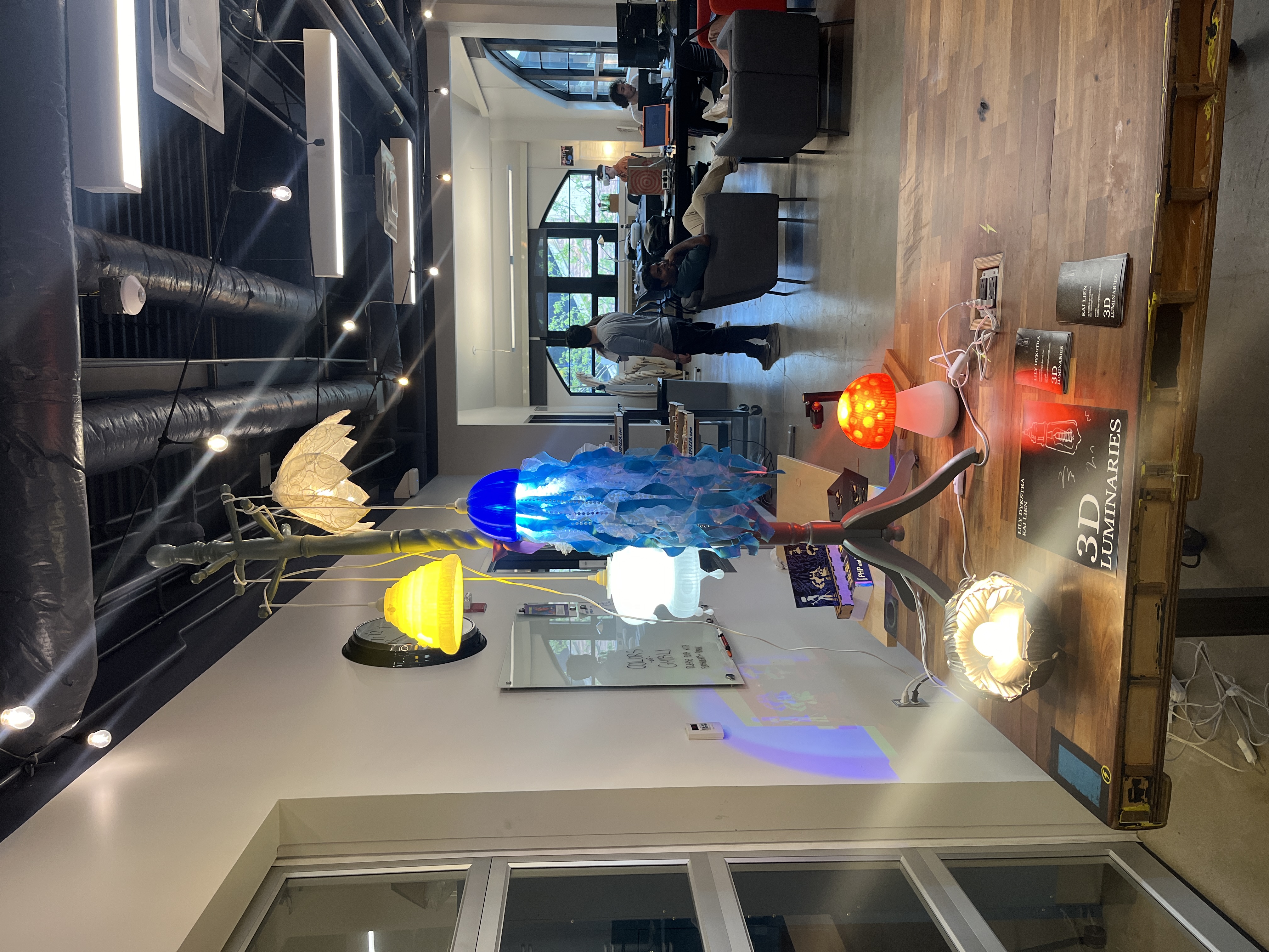 Lamp-mania — expo display